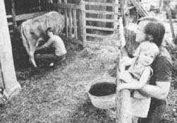 Ground Contamination Destroyed a Family's Dream